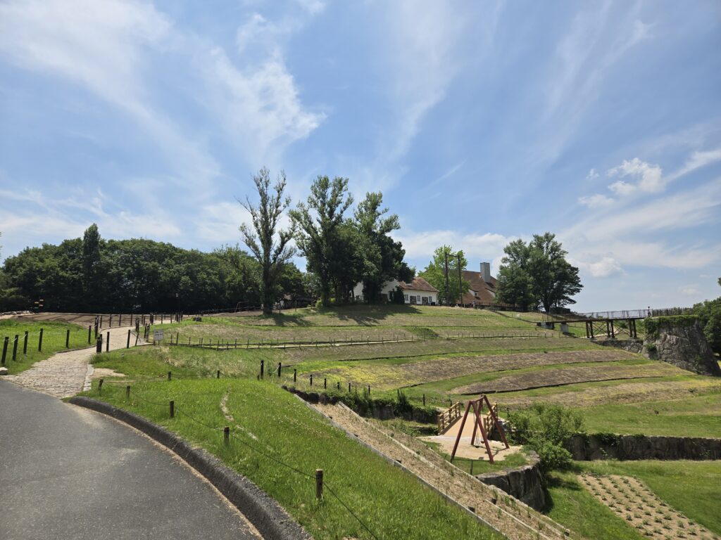 Forest-Park